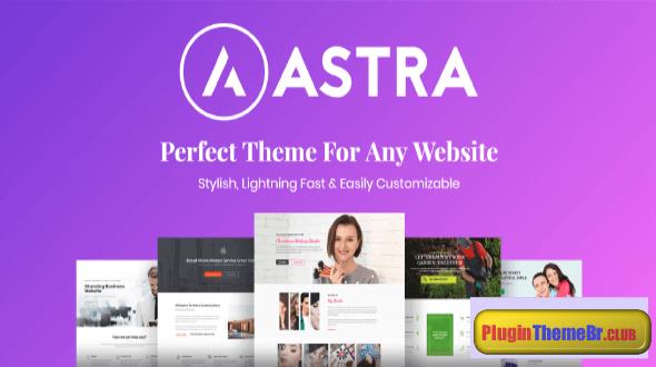 Astra Pro Addon v4.6.9 – Perfect Theme For Any Website