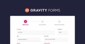 Gravity Forms v2.9.18