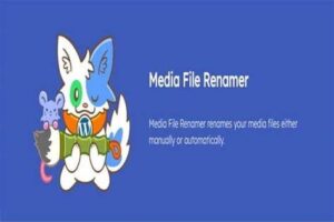 Media File Renamer v6.1.3