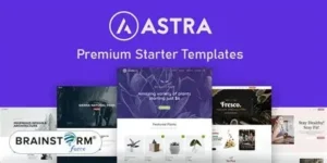 Astra Starter Templates v4.4.41