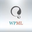 m-wpml-280x280